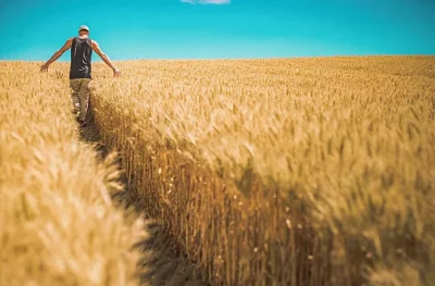 Comment la data va aider le secteur Agritech à sortir de la crise ?