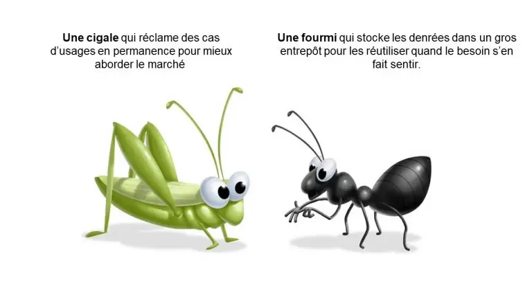 Comparaison data driven data centric - fable la cigale et la fourmi
