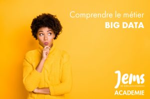 consultant Big Data JEMS