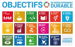 Infographie présentant les 17 Objectifs de Développement Durable des Nations Unies, chacun représenté par une icône colorée et numérotée. Les objectifs couvrent des enjeux mondiaux tels que l’éradication de la pauvreté, la lutte contre la faim, l’accès à la santé, à l’éducation, l’égalité des sexes, l’eau propre, l’énergie durable, le travail décent, l’innovation, la réduction des inégalités, la lutte contre le changement climatique et la promotion de la paix et des partenariats.