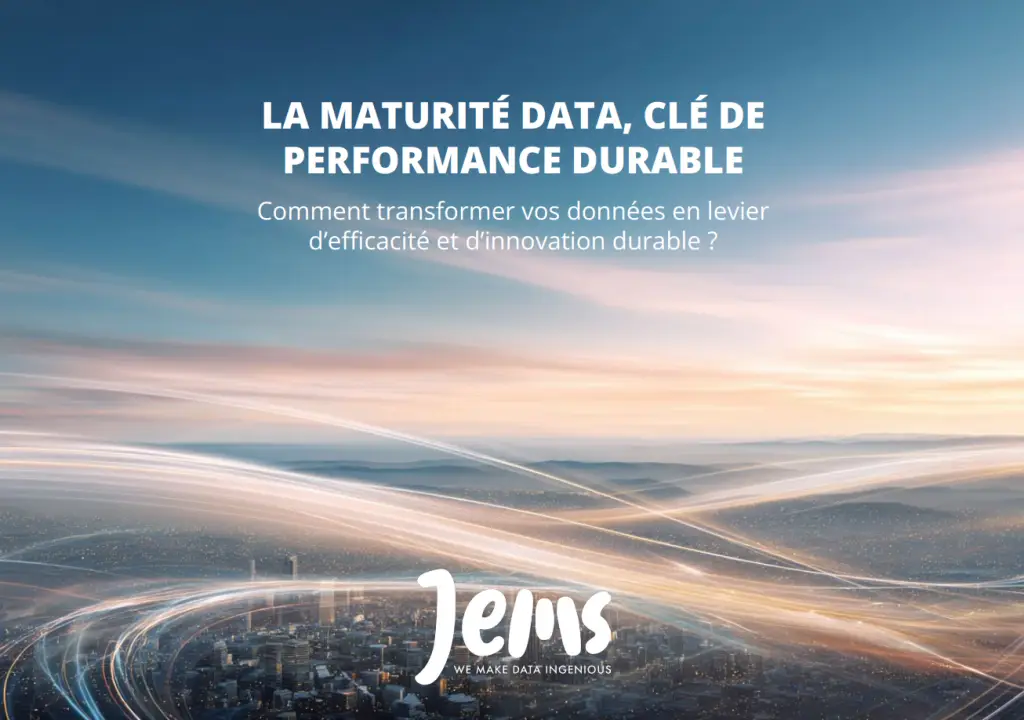 Livre blanc maturité data couverture